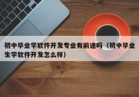 初中毕业学软件开发专业有前途吗（初中毕业生学软件开发怎么样）