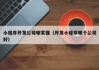 小程序开发公司哪家强（开发小程序哪个公司好）