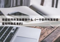 项目软件开发需要做什么（一个软件开发项目是如何做出来的）
