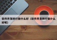软件开发转行做什么好（软件开发转行做什么好呢）