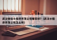 武汉微信小程序开发公司哪家好?（武汉小程序开发公司怎么样）