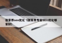 张家界seo优化（张家界专业SEO优化哪家好）