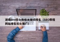 湖南seo优化教程关键词排名（SEO教程网站排名优化推广）
