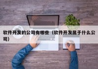软件开发的公司有哪些（软件开发属于什么公司）