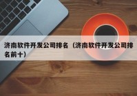 济南软件开发公司排名（济南软件开发公司排名前十）